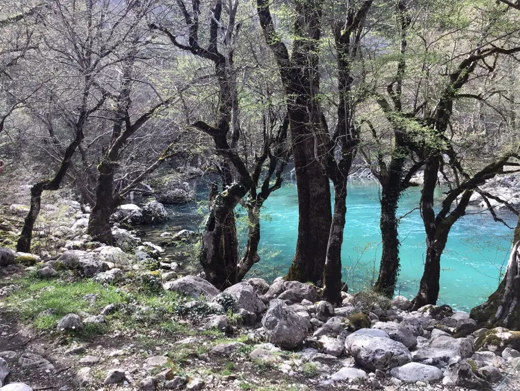 Am Fluss AOOS. Als Vjosa durchfließt sie als letzter gänzlich unregulierter Fluss den Südwesten Albaniens.