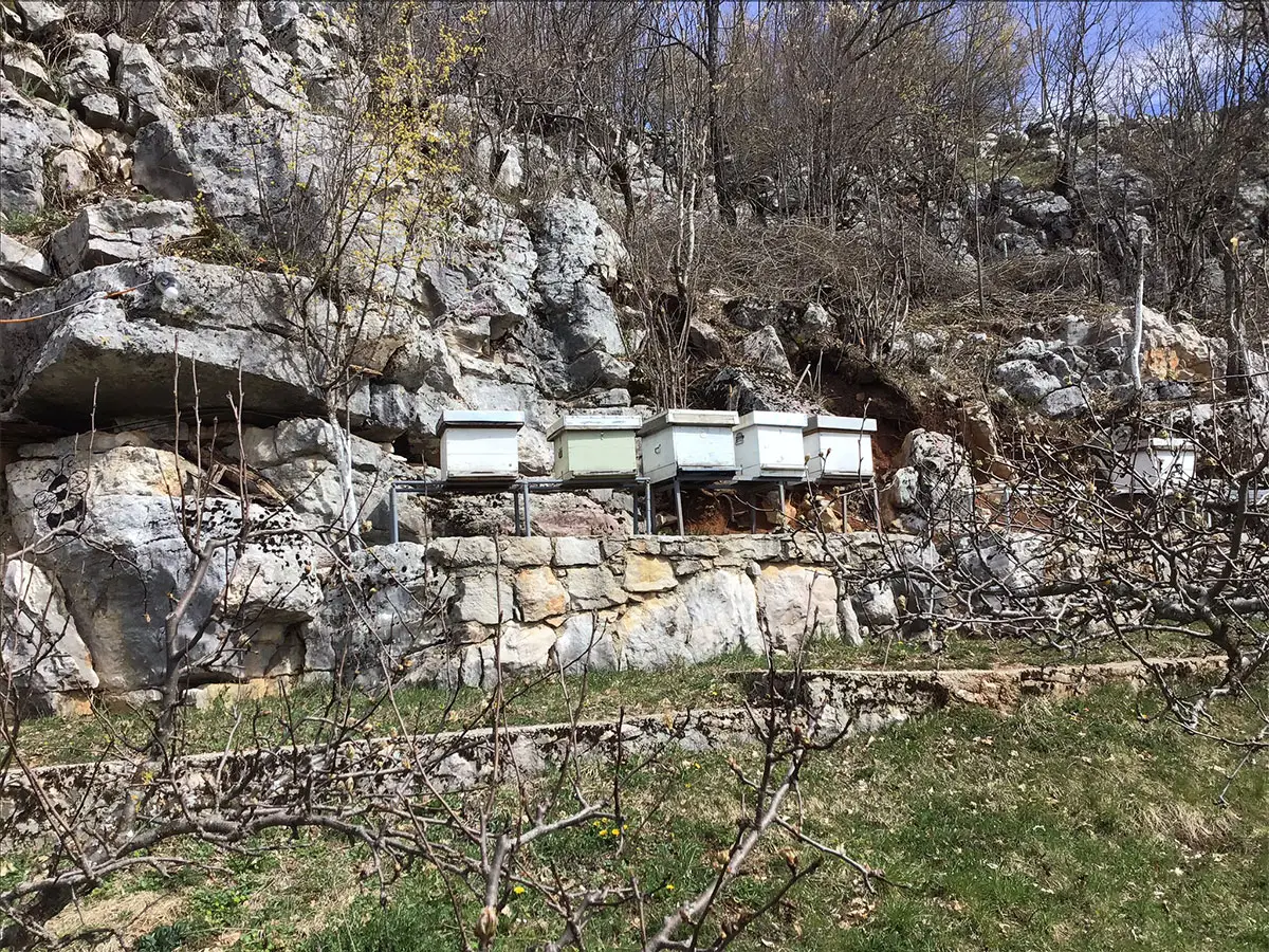 Bienenstöcke, windgeschützt an den warmen Felsen